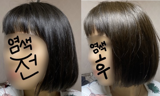  미장센 헬로버블 애쉬카키브라운 탈색없이 흑모 후기