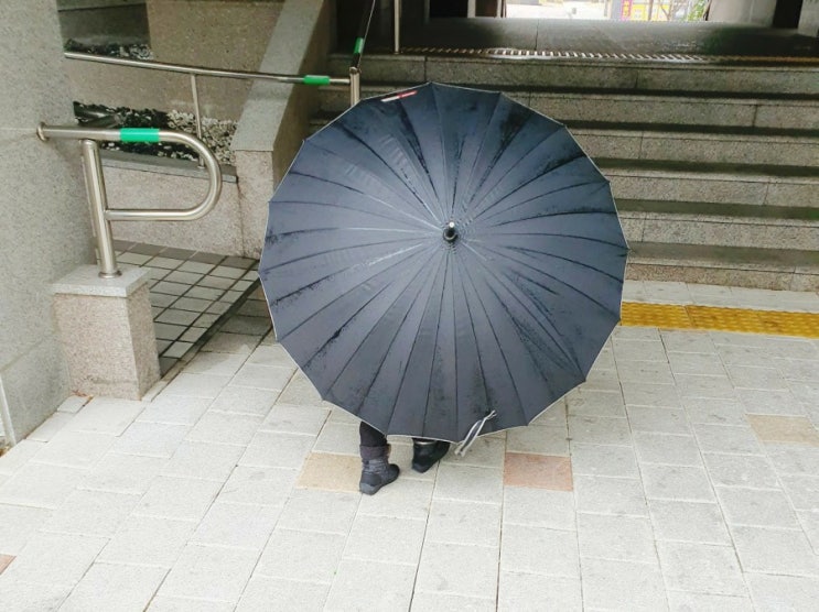 [비오는 날의 등원] 혼자 우산 쓰겠다는 그대와 함께