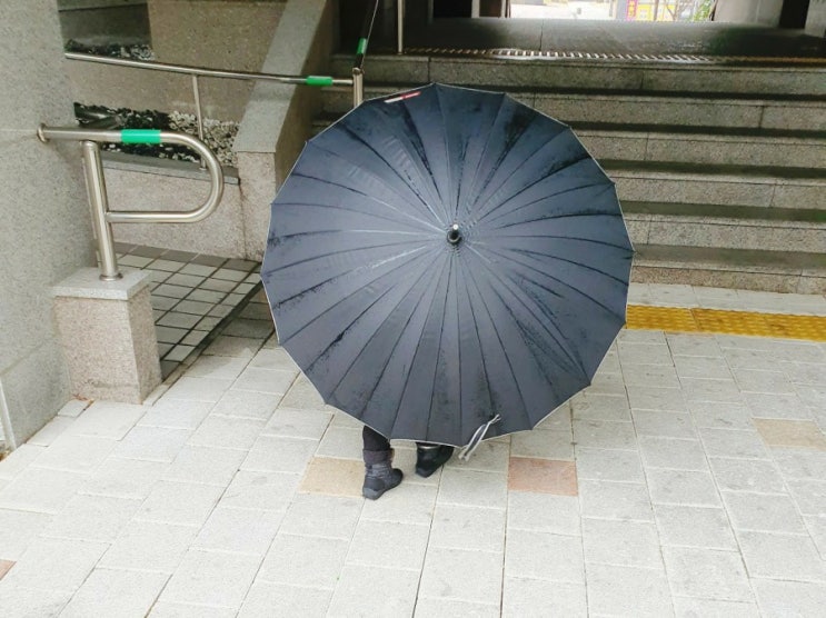  [비오는 날의 등원] 혼자 우산 쓰겠다는 그대와 함께