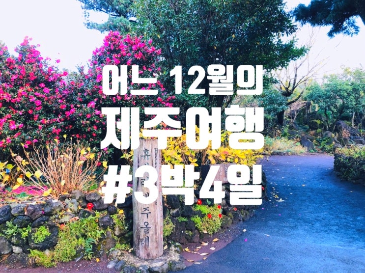 [3박4일 제주도여행] '휴애리자연생활공원' 동백꽃축제, 동물원에서 먹이체험 #3일차