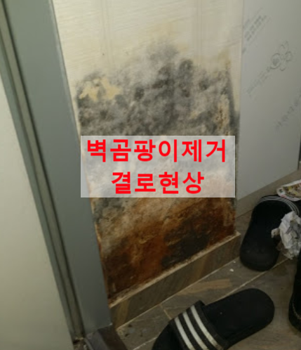 벽곰팡이제거 결로현상 알면 바로 해결 벽곰팡이제거 결로현상 알면 바로 해결