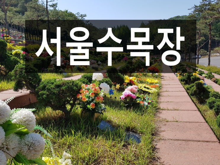  서울수목장, 바르게 알고 찾아보세요.