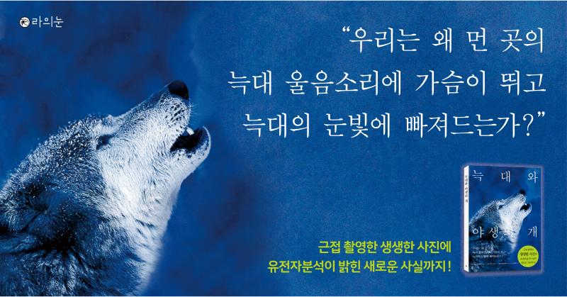 늑대와 개의 차이점은 무엇입니까