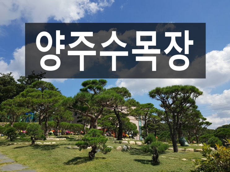  양주수목장 자연속에서 편안히 쉬세요~..