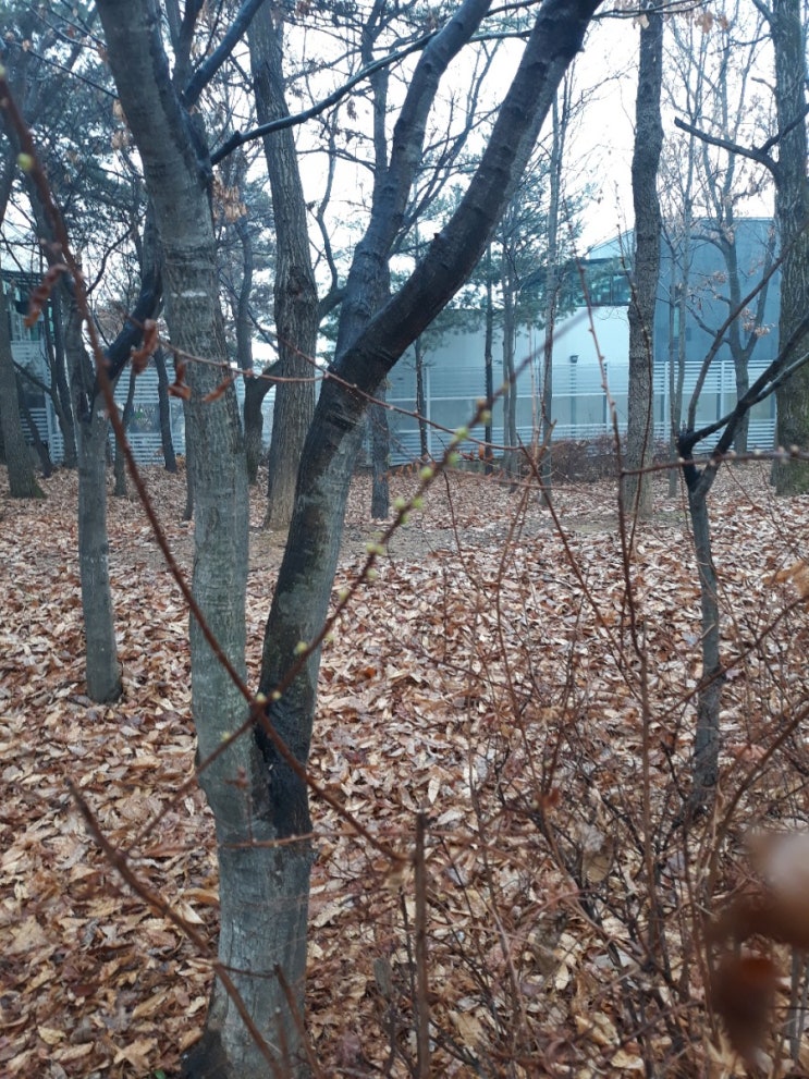  강남대리기사모집