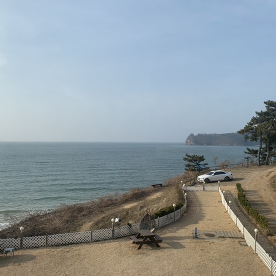  [안면도 애견펜션] 빌라노마드