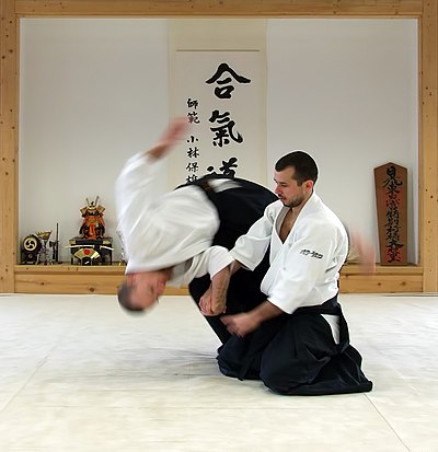  아이키도 (aikido) 란? [일본 무술]
