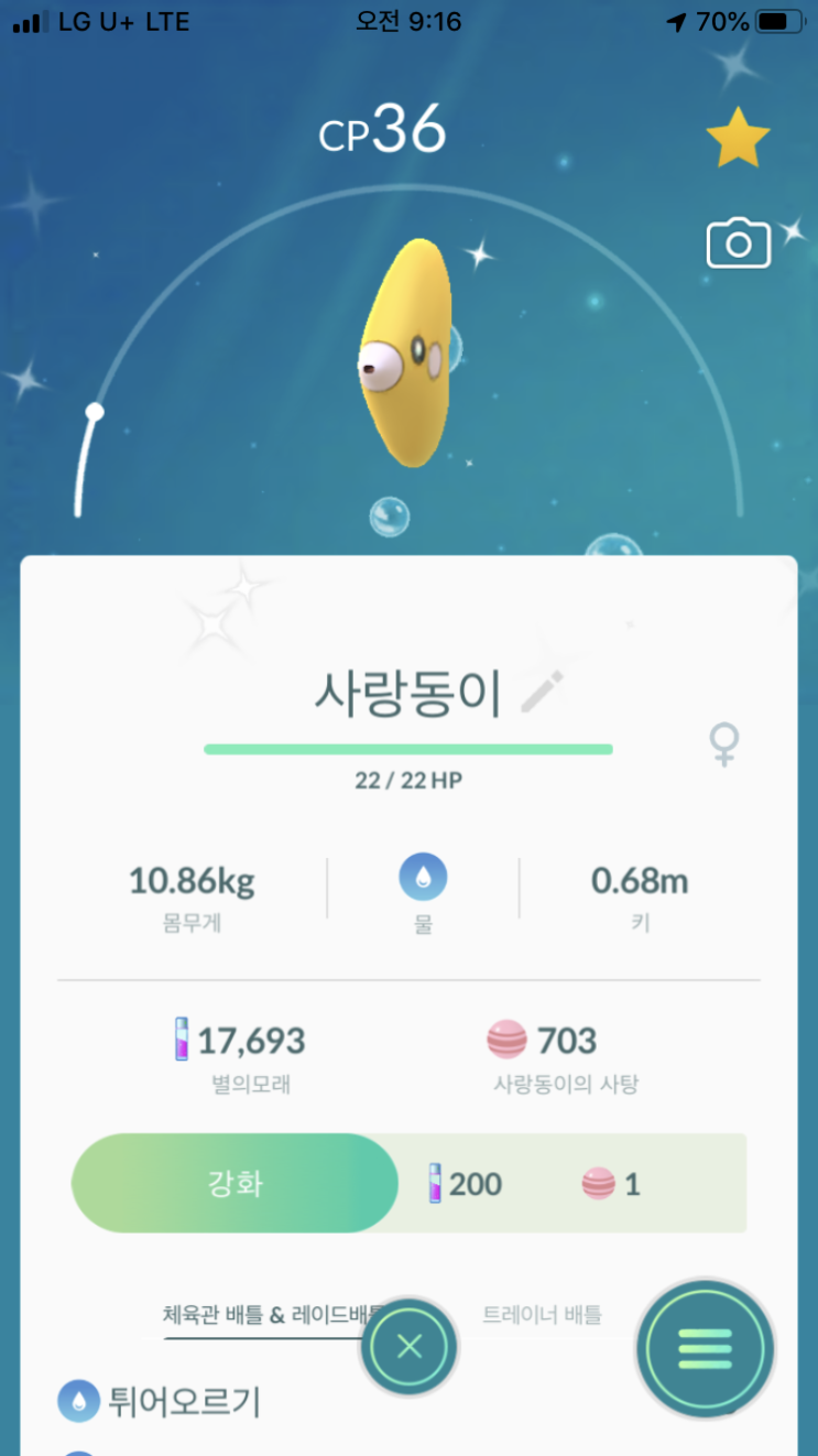  사랑동이 이로치