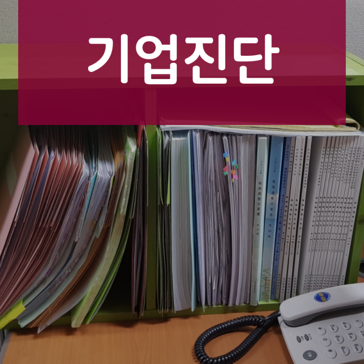  기업진단 보고서만 확인해도 복잡한 절차 NoNo