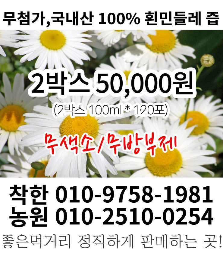 흰 민들레즙 효능과 부작용 하얀