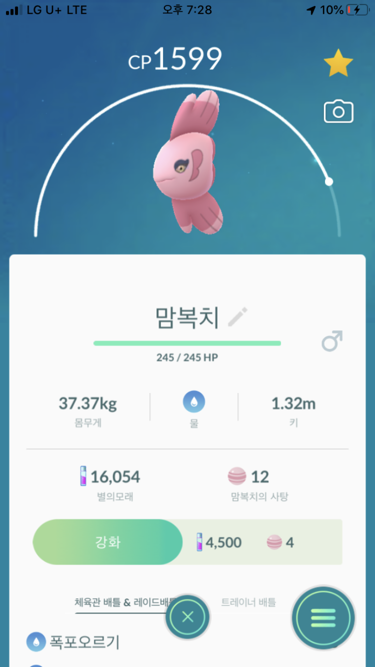맘복치 맘복치