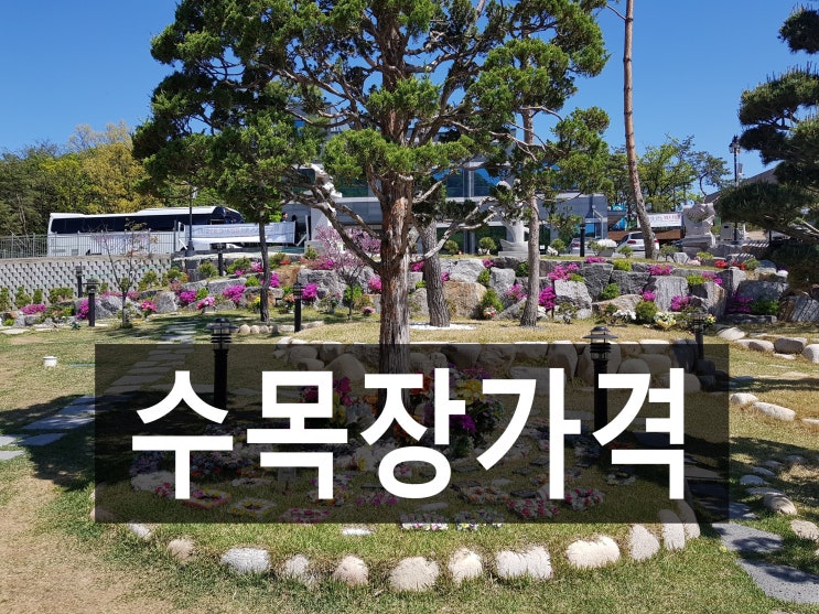  수목장가격 책정, 적당한 가격인가요?