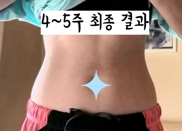  다이어트 보조제 순위 장내세균 비만균까지 공유해요