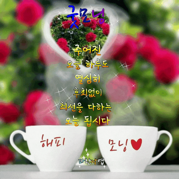 다이어트에 도움되는 건강 차 다이어트에 도움되는 건강 차