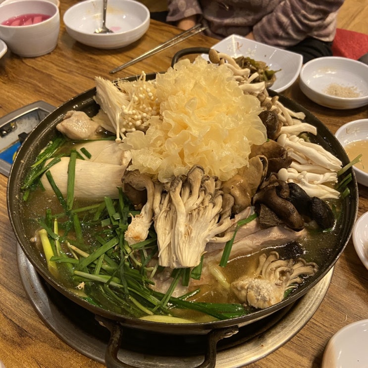  시흥 정왕동 맛집 : 오리백숙 맛있는 느티나무집 후기