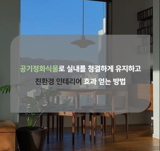 공기정화식물로 실내를 청결하게 유지하고 친환경 인테리어 효과 얻는 방법