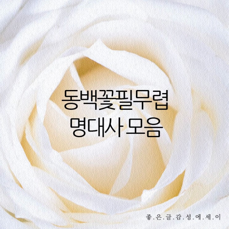  드라마 동백꽃 필 무렵 명대사 모음 - 사람이 사람에게 기적이 될 수 있을까?