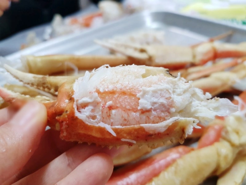 대게장터 스노우크랩 맛있게 먹는 방법 존맛탱