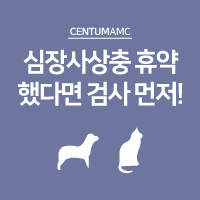  심장사상충 휴약 했다면 검사 먼저!