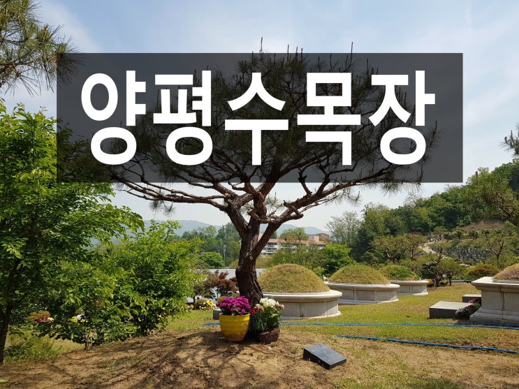  양평수목장 언제나 조용하고 편안한 수목장입니다.