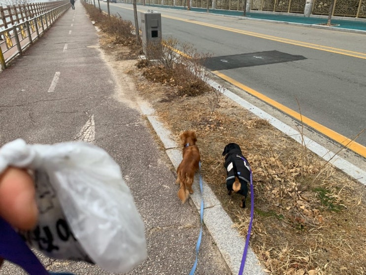  나는 오늘도 달린다..