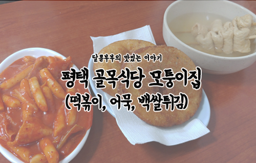 평택 골목식당 모퉁이집 떡볶이, 백쌀튀김 흠... 이 맞이 맞나요?
