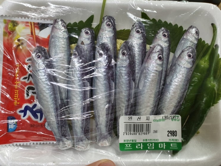 이 분 연기를 시킬까요? 발렌타인데이 땡큐 ㅋㅋ 정어리 초콜렛 보고 웃으세요 이 분 연기를 시킬까요? 발렌타인데이 땡큐 ㅋㅋ 정어리 초콜렛 보고 웃으세요