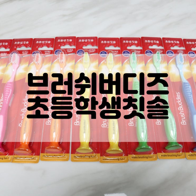  (초등학생칫솔추천) 초등학교 준비물 브러쉬버디즈 Brush Buddies 초등학생칫솔