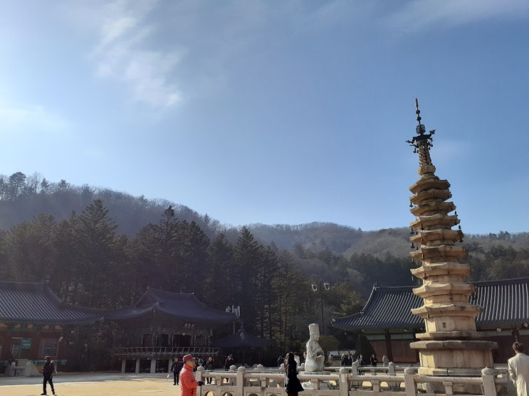  겨울 강원도 재충전여행 / 월정사/정선 오장폭포