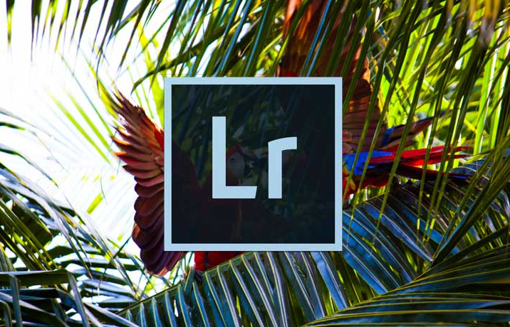  사진작가가 사용하는 어도비 라이트룸(Adobe Lightroom)이란?