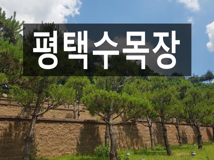  평택수목장 접근성이 좋아 추천해 드립니다.