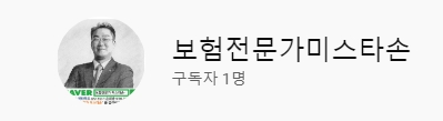  유투브-보험전문가 미스타손