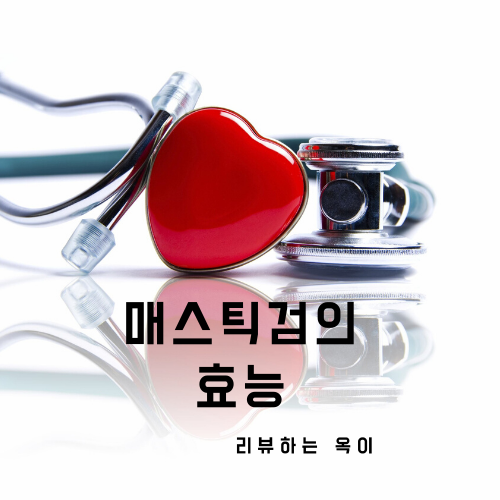  뉴트리콜로지 매스틱검 직접 먹어본 후기~! 싸게사는 꿀팁!!