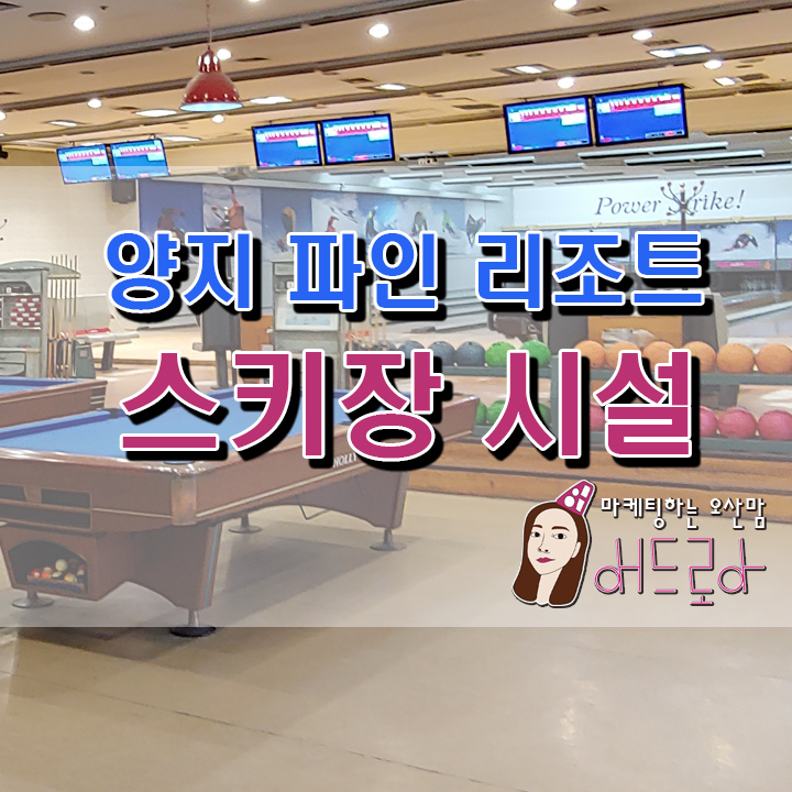  양지 파인리조트 스키장 시설 둘러보기