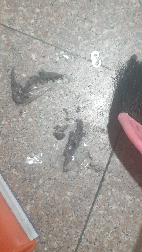  신림동 빌라 계단 청소.