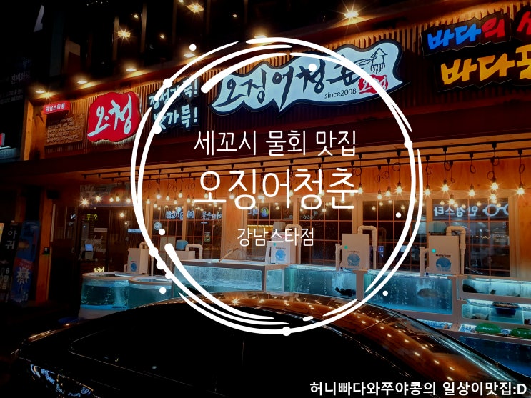  강남역과 역삼역 사이에서 간단하게 2차로 갈만한 물회가 맛있는 횟집 추천 : 오징어청춘 강남스타점