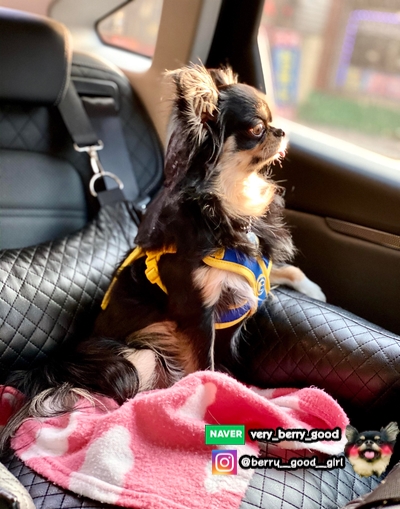  우리 어디 가요 ?