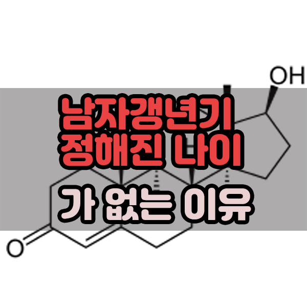  남자갱년기 정해진 나이가 없는 이유