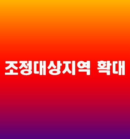  정부 부동산정책 반작용