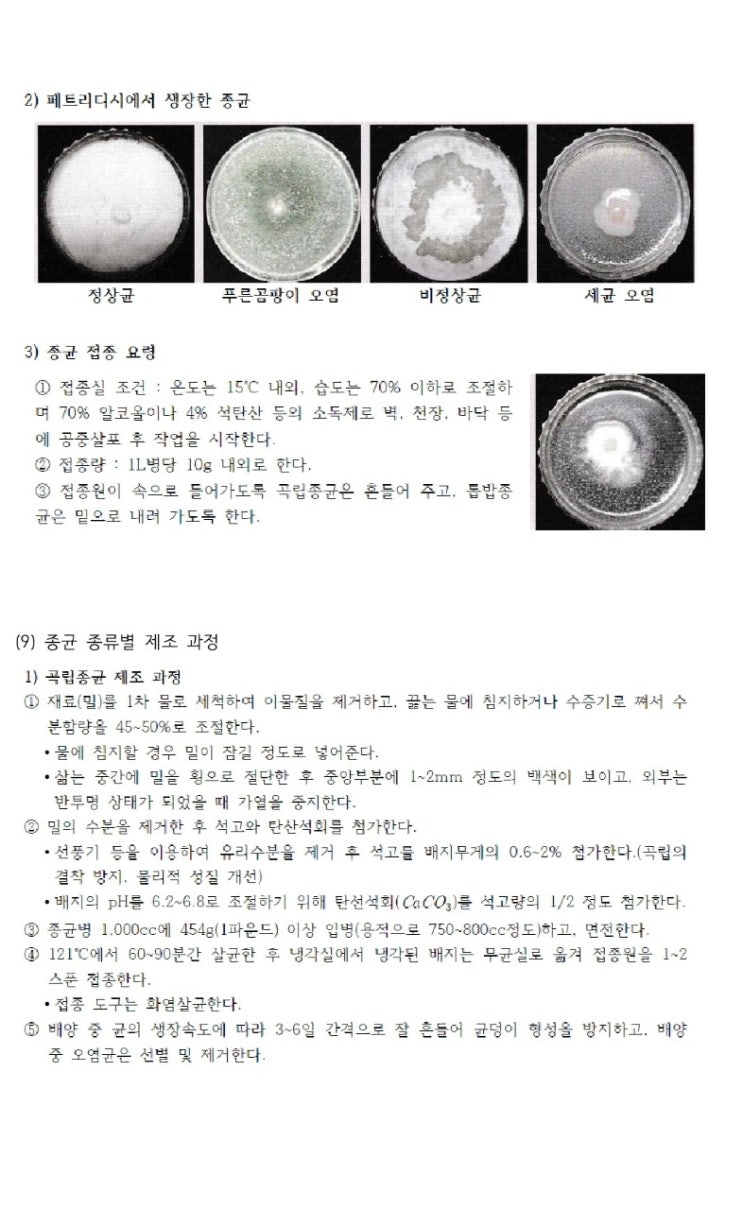  2월 15일 토요일