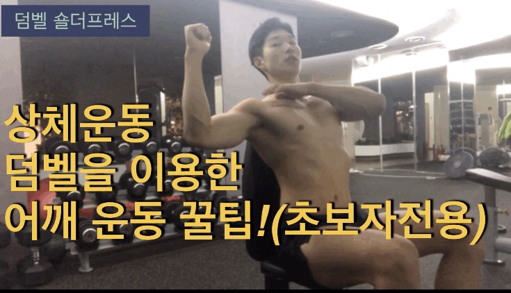  어깨운동 루틴(덤벨활용) 초보자 입문 상체근력강화