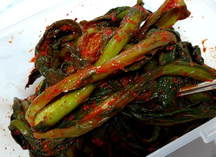  여수 갓김치 맛집 : 대감갓김치 톡 쏘는 손맛 제대로!