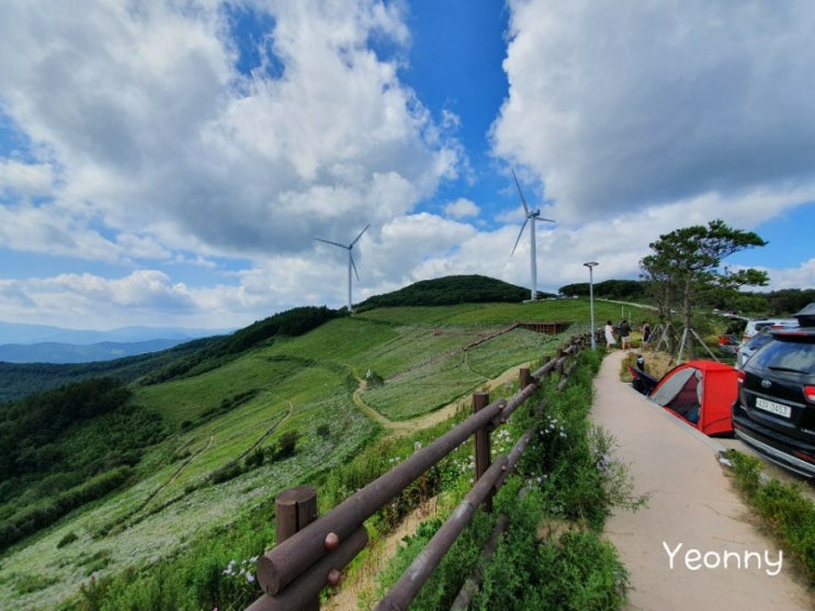  [국내여행]정선 1박 2일 여름하늘뷰가 쩌는 바람의 언덕