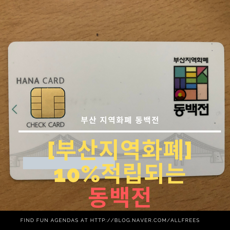 동백전] 10% 적립되는 선불카드, 부산 지역화폐 동백전 (feat. 어플
