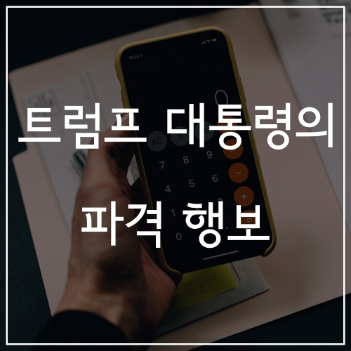  트럼프 대통령의 파격 행보 (Feat. 주식 사면 세금 깎아줄게)