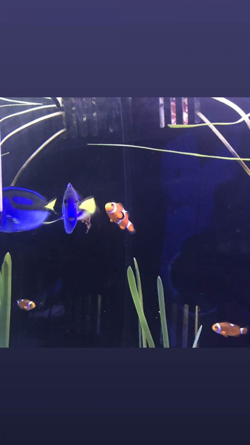 중국어 숫자 암호 : 네이버 블로그