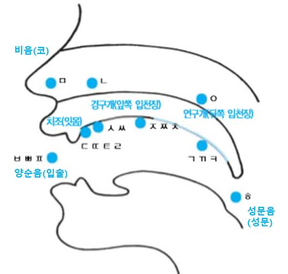 조음 /ㅅ/ 발음 위치 잡기 활동 : 네이버 블로그