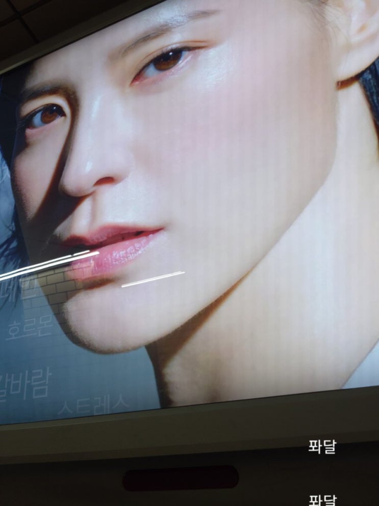  [점심시간의여유]이태원클라쓰주식, 강남교육, 킹크랩by퐈이어맨달파소