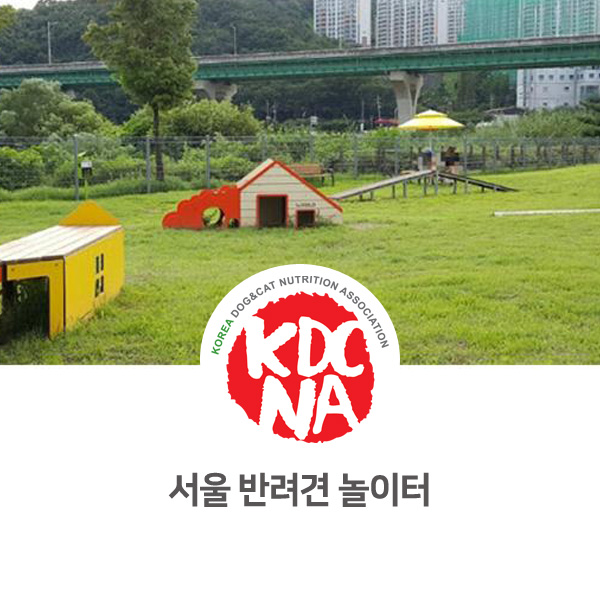  [반려동물 최신 뉴스] 서울 동대문구 4월 반려견 놀이터 개장_18