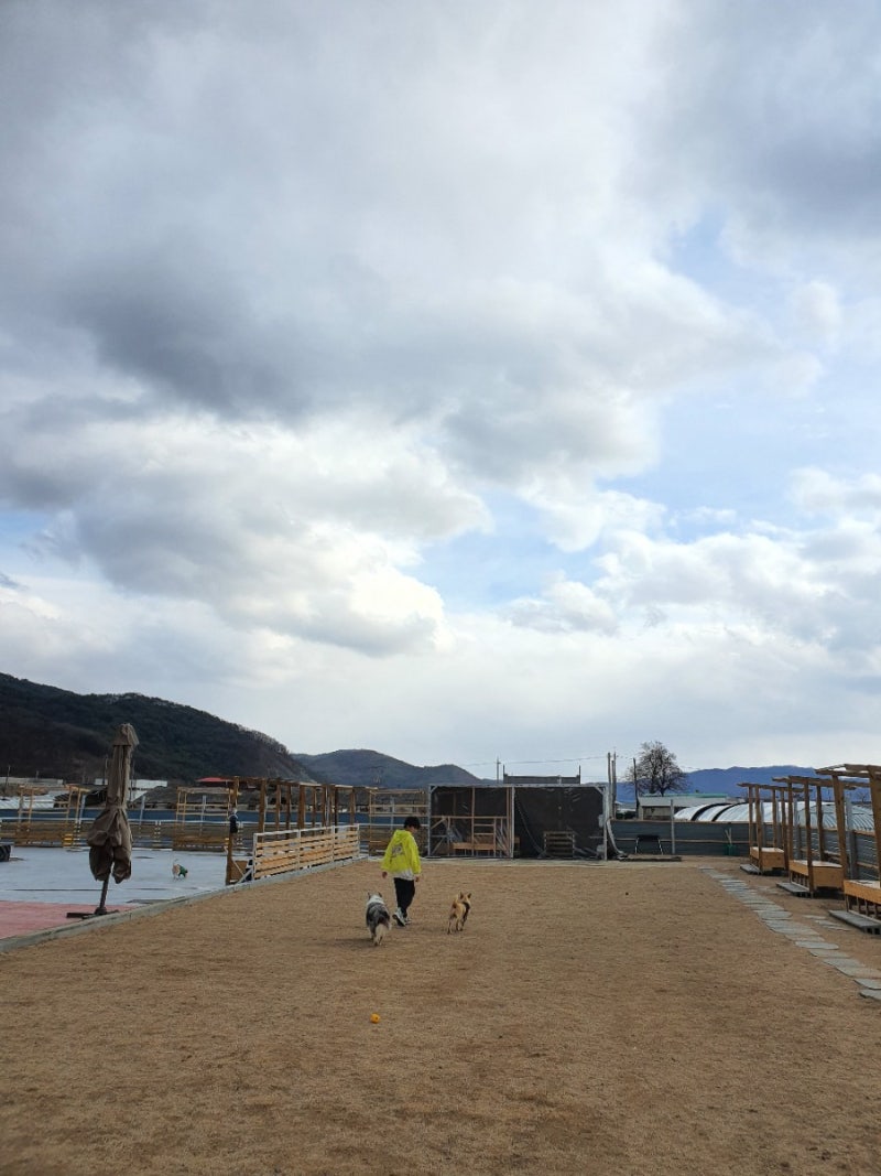 사진 6